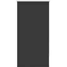 vidaXL Verdunklungsrollo 60 x 120 cm schwarz