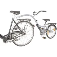 Terra Bikes Kinderrad-Nachläufer silber 20"