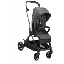 Chicco One4Ever Leichtgewichtiger Kinderwagen 1 Sitz(e) Grau