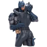 Nemesis Now Batman & Catwoman 34 cm - Figur