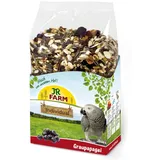 JR Farm Individual Graupapagei Vogelfutter 950 Gramm