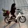tenways CGO Compact 2026 20 Zoll RH 45 cm sand