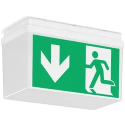 RZB LED-Sicherheitsleuchte 672522.002