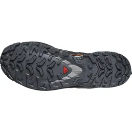 Salomon XA Pro 3D V9 GTX Herren Turbulence/Black/Burnt Ochre 46