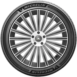 Michelin 205/50 R17 93W Primacy 5 XL RG
