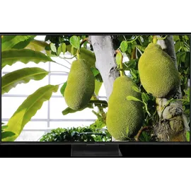 TCL 55MSQLED85L 55" 3840 x 2160 Pixel LED 4K-Fernseher