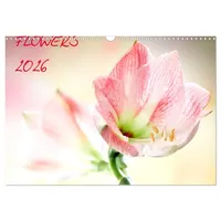 Calvendo Flowers / 2026 (Wandkalender 2026 DIN A3 quer),