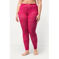 Ulla Popken Strumpfhose in beere | 46-48