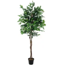 Europalms Ficus-Benjamini Multi-Stamm, Kunstpflanze, 210cm