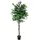 Europalms Ficus-Benjamini Multi-Stamm, Kunstpflanze, 210cm