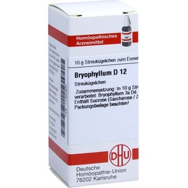 DHU-ARZNEIMITTEL Bryophyllum D12