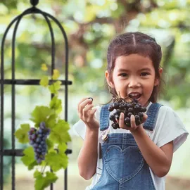 Relaxdays Obelisk Rankhilfe 100 x 25 cm Schwarz