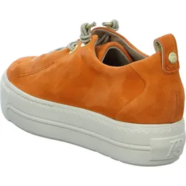 Paul Green 5017 orange 37,5