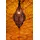 Marrakesch Orient & Mediterran Interior Kihana 1-flg. E14 40 cm rund gold