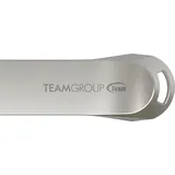 TEAM GROUP TeamGroup C222 256GB, USB-A 3.0 (TC2223256GS01)