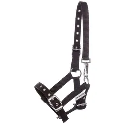 Kavalkade Halfter Fohlen & Jährling (Fohlen) - Schwarz - Fohlen