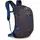 Osprey Sylva 12 l Space Travel Grey