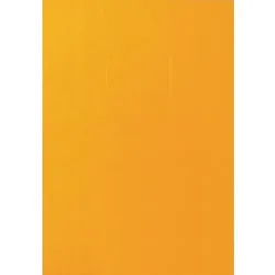 Multifunktionsetiketten Orange Rechteckig 600 Etiketten pro Packung
