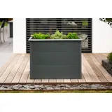 Westmann Primus M 100 x 50 x 77 cm Anthrazit