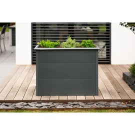 Westmann Primus M 100 x 50 x 77 cm Anthrazit