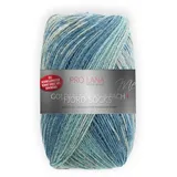 theofeel Sockenwolle Fjord mehrfarbig 100 g