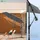 VOUNOT Ampelschirm 300 cm Grau
