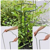 Siena Garden Pflanzenstütze vollrund 55 cm verstellbar