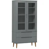 vidaXL Vitrinenschrank MOLDE 90 x 35 x 175 cm Grau