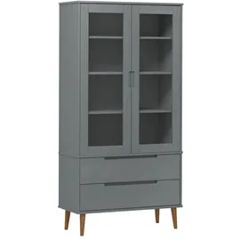 vidaXL Vitrinenschrank MOLDE 90 x 35 x 175 cm Grau