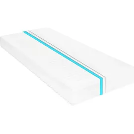 vidaXL 7-Zonen Kaltschaum 180 x 200 cm H2/H3