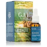 GAL Vitamin K2 D3 20 ml