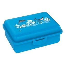 Fizzii Lunchbox mit Trennfach Cyan - Delfin