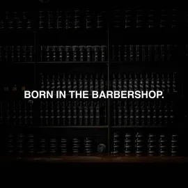 Charlemagne Bartshampoo - Conditioner 2-in-1 für Männer 200 ml
