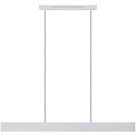 EGLO Andreas-Z 1-flg. 117 cm grau Stahl