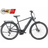 Pegasus Premio Evo 10 Lite - 28 Zoll 750Wh 10K Diamant - black matt - L