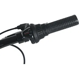 Dacapo Mistral 24 Zoll RH 32 cm grau