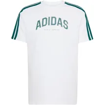 adidas Codes Collegiate Linear Graphic Herren Shirt