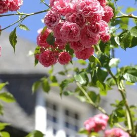 Relaxdays Rankturm 2er Set 149 x 29 cm Schwarz