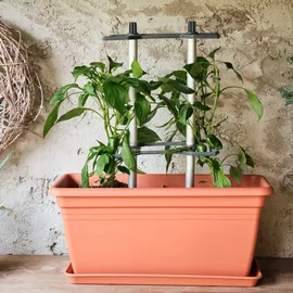 Gusta Garden Chili Buddy,