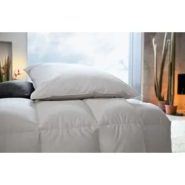 Centa-Star Golf von Alaska 135 x 200 cm Baumwolle Braun Sahara
