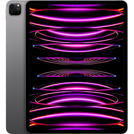 Apple iPad Pro Liquid Retina XDR 12.9" 2022 256 GB Wi-Fi + Cellular space grau
