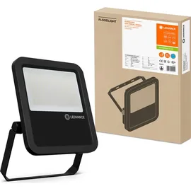 LEDVANCE Floodlight L Pfm 80W/6500K Sym 100 schwarz