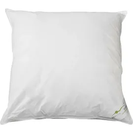 BettwarenShop Kopfkissen Exclusiv 60 x 60 cm Weiß