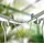Bio Green Florabooster 200 Pflanzenleuchte 90 cm grün
