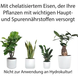 Substral Flüssigdünger Grünpflanzen 500 ml