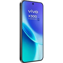 Vivo X300 12 GB RAM 256 GB Schwarz