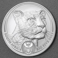 South African Mint 1 Unze Silbermünze Südafrika Big Five