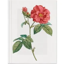 Gerstenberg Verlag Geschichte der Rose Großes Notizheft Motiv Französische Rose