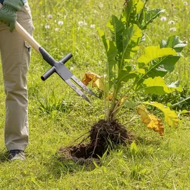 Kerbl Ampferstecher mit T-Stiel