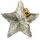 COM-FOUR Deko-Stern 3D aus Kunststoff metallisch glänzender Dekostern - Klassische Dekoration für Winter und Weihnachten - ca. 20cm (1x champagnerfarben)